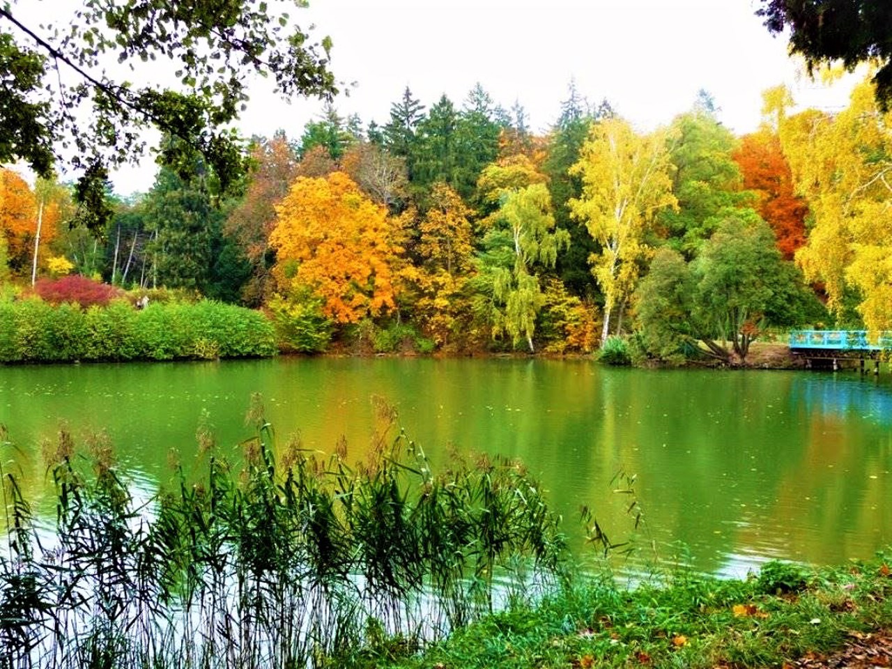 Тростянецький дендропарк, Тростянець