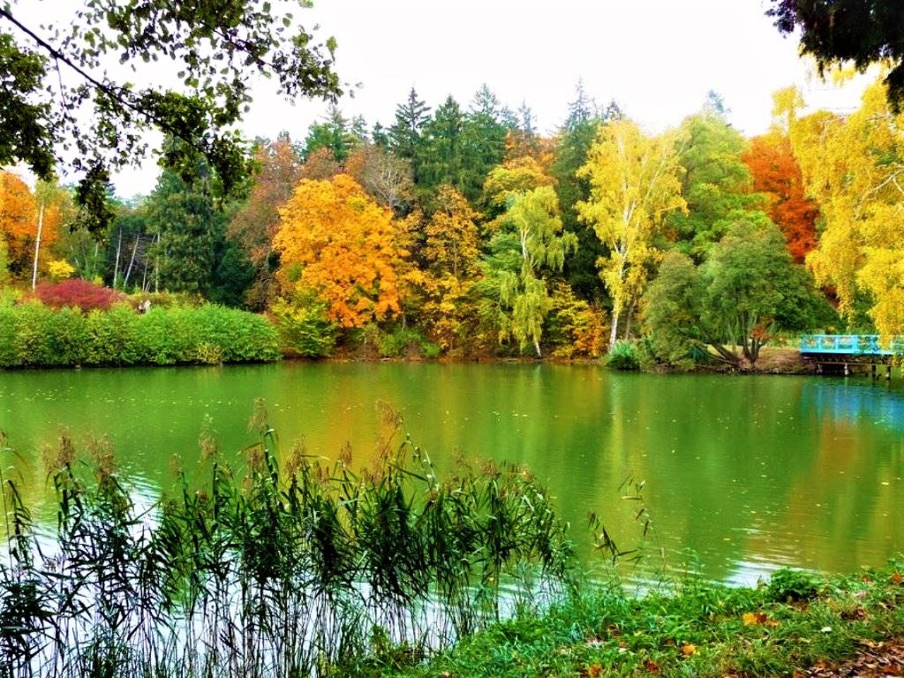 Dendrology Park Trostianets