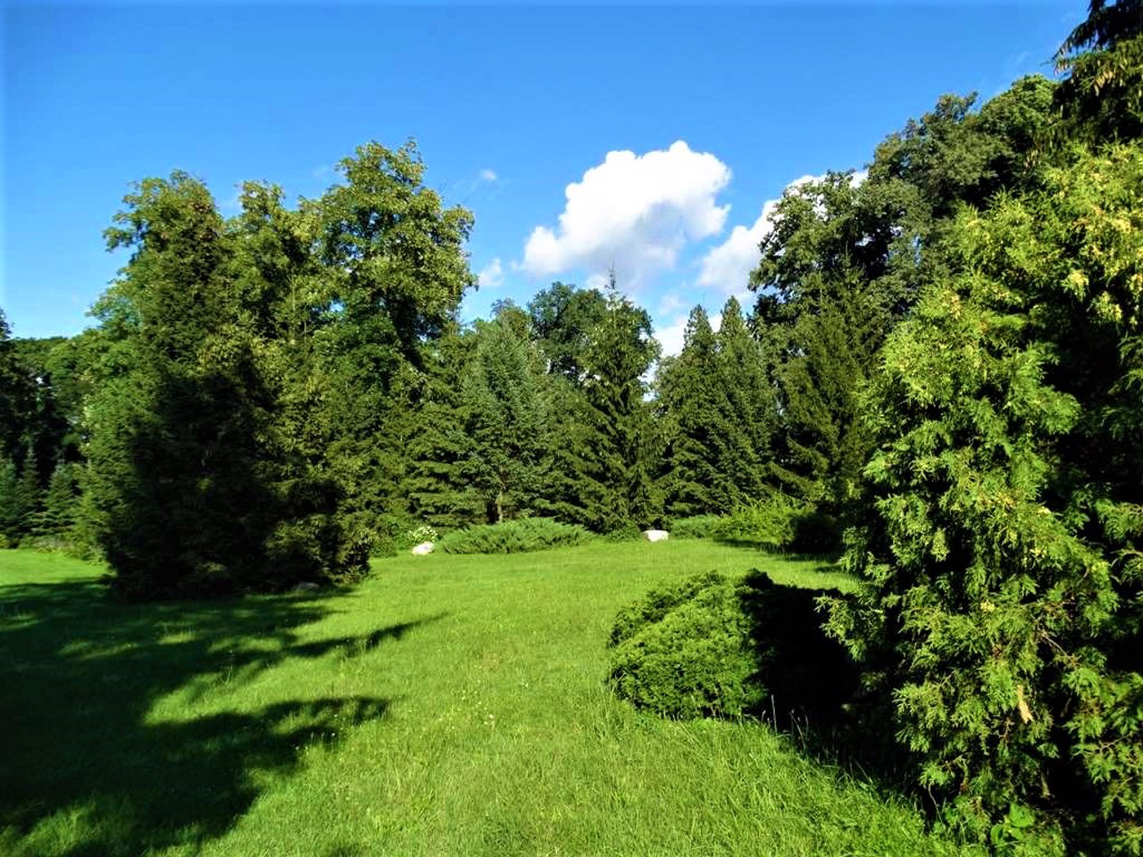 Dendrology Park Trostianets