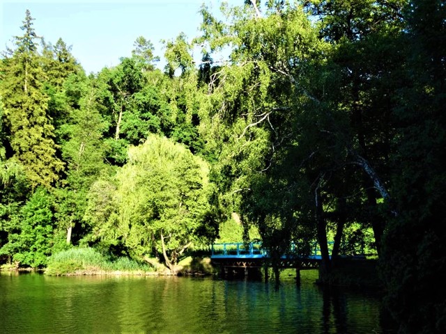 Dendrology Park Trostianets