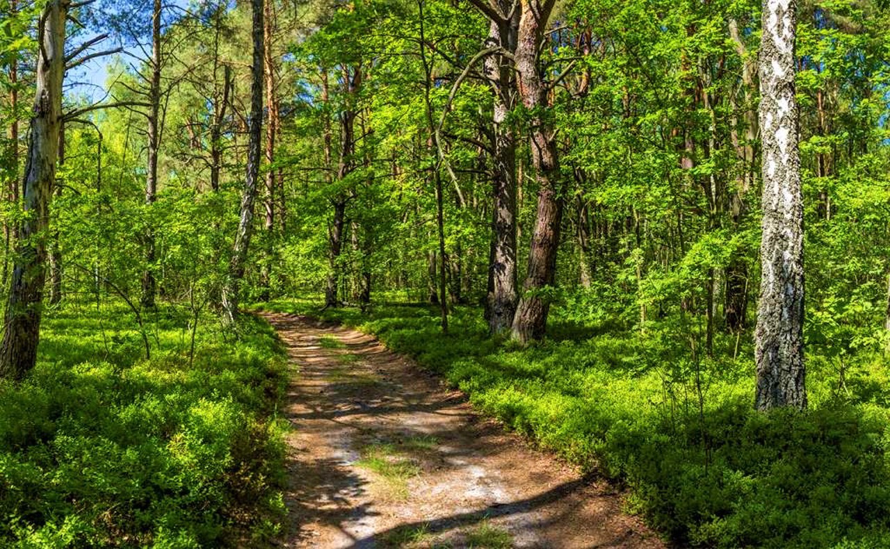 Shatsky National Natural Park