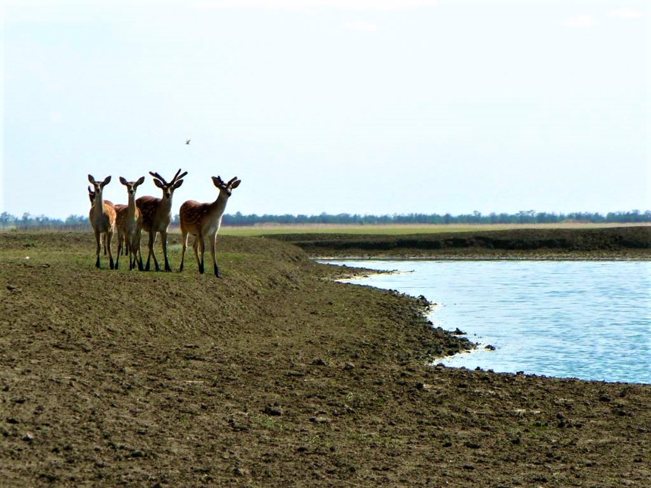 Askania-Nova Biosphere Reserve