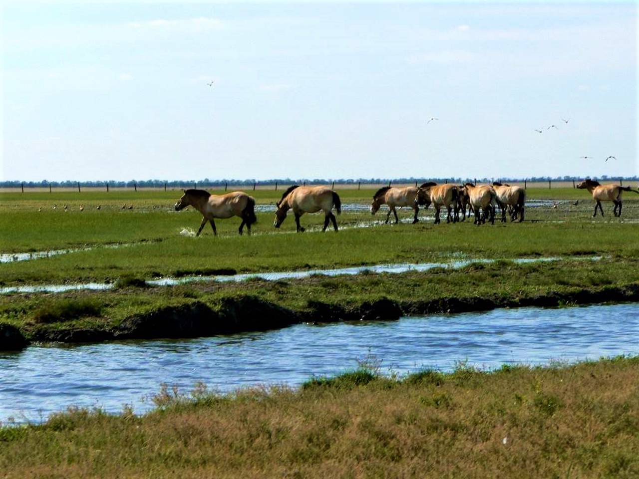 Askania-Nova Biosphere Reserve