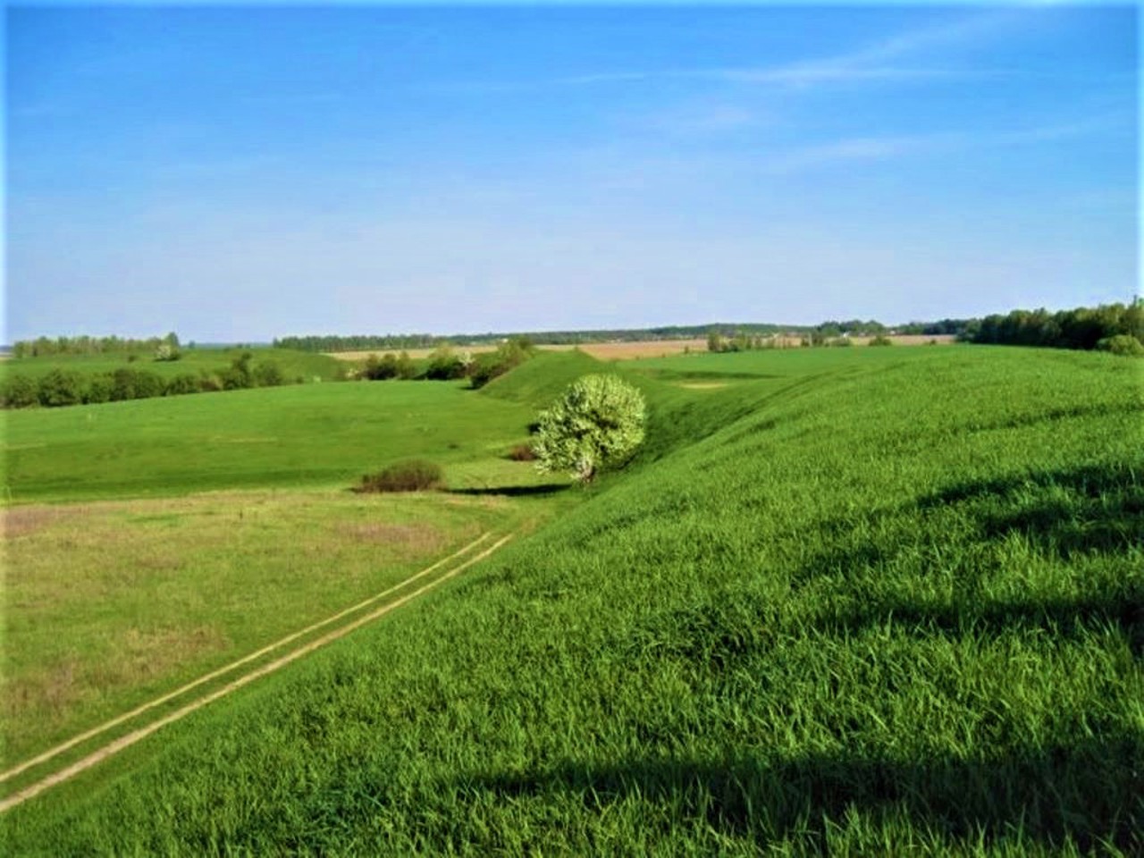 Немирівське городище (Скіфські вали), Немирів