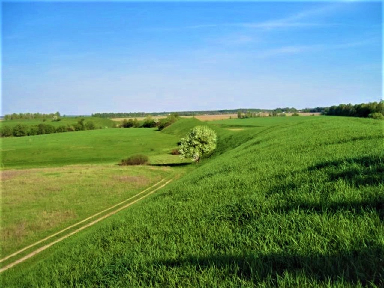 Nemyrivske Hillfort, Berezivka