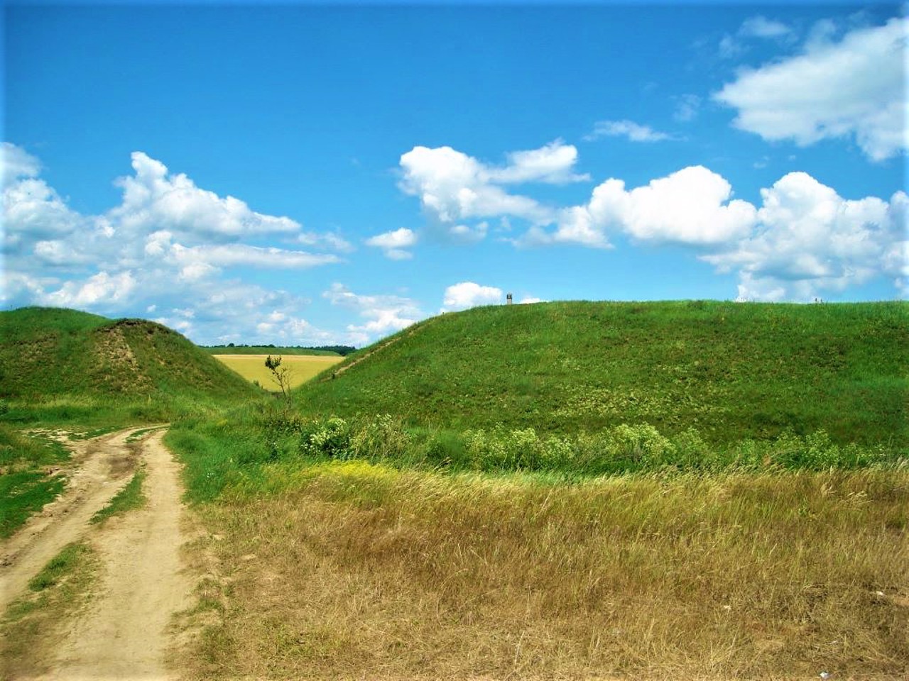 Nemyrivske Hillfort, Berezivka