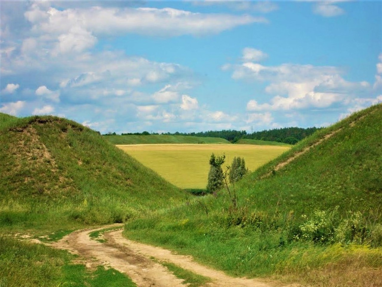 Немировское городище, Березовка