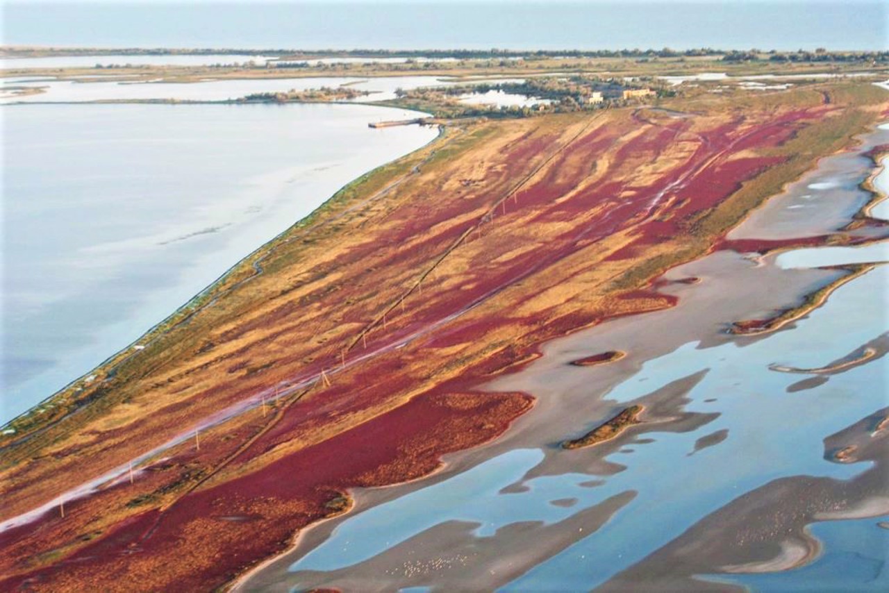 Kinburn Spit