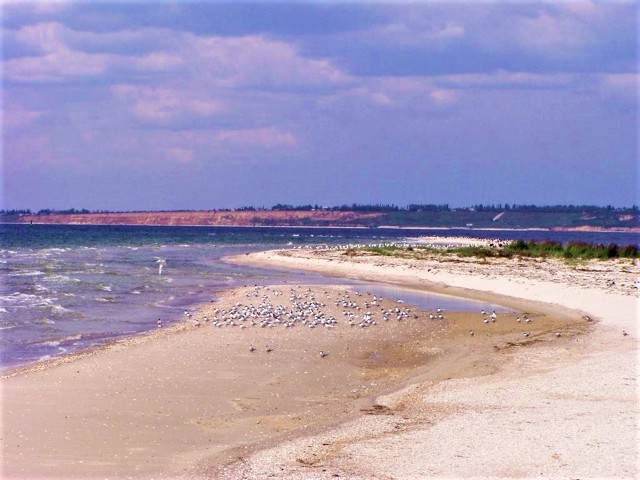 Kinburn Spit