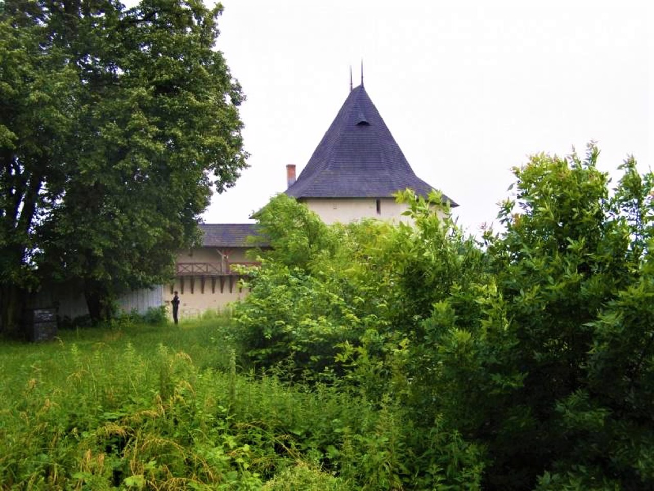 Галицький замок (Старостинський), Галич