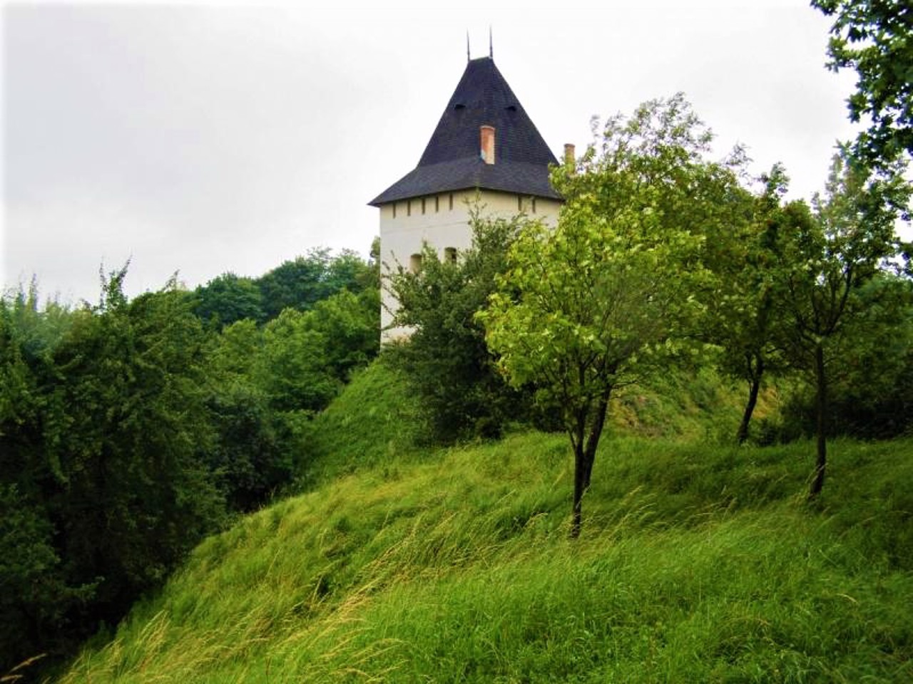 Галицький замок (Старостинський), Галич