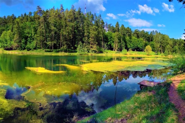 Парк "Нескучне", Тростянець