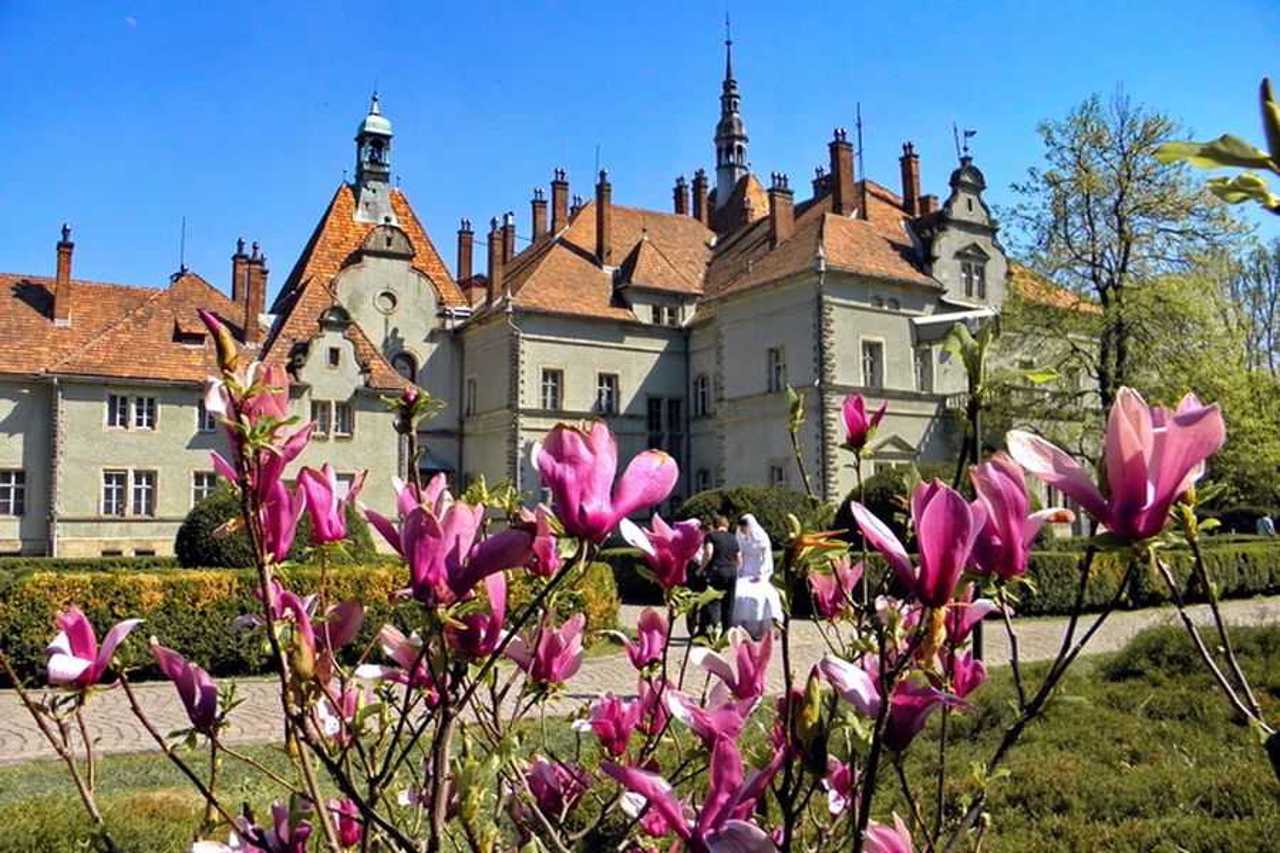 Shenborn Palace, Karpaty