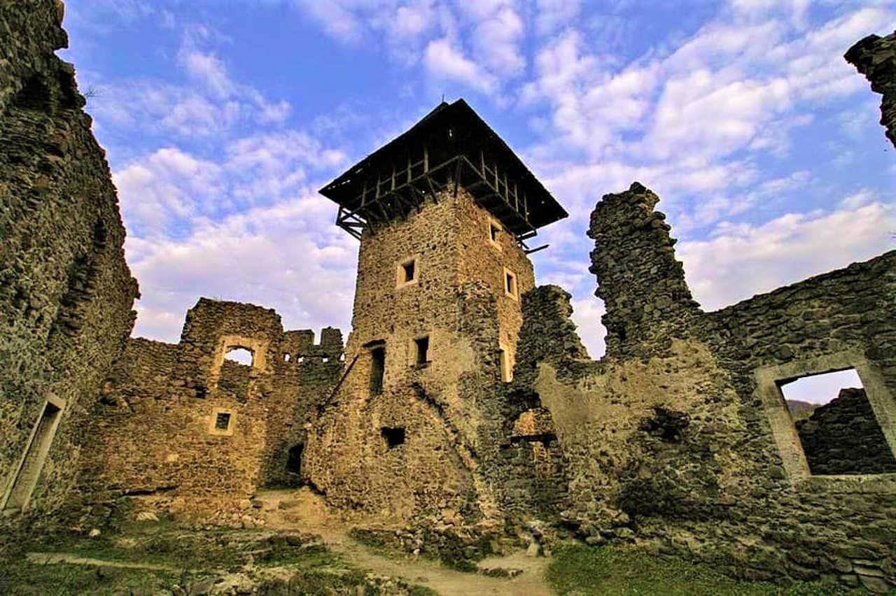 Невицкий замок, Каменица