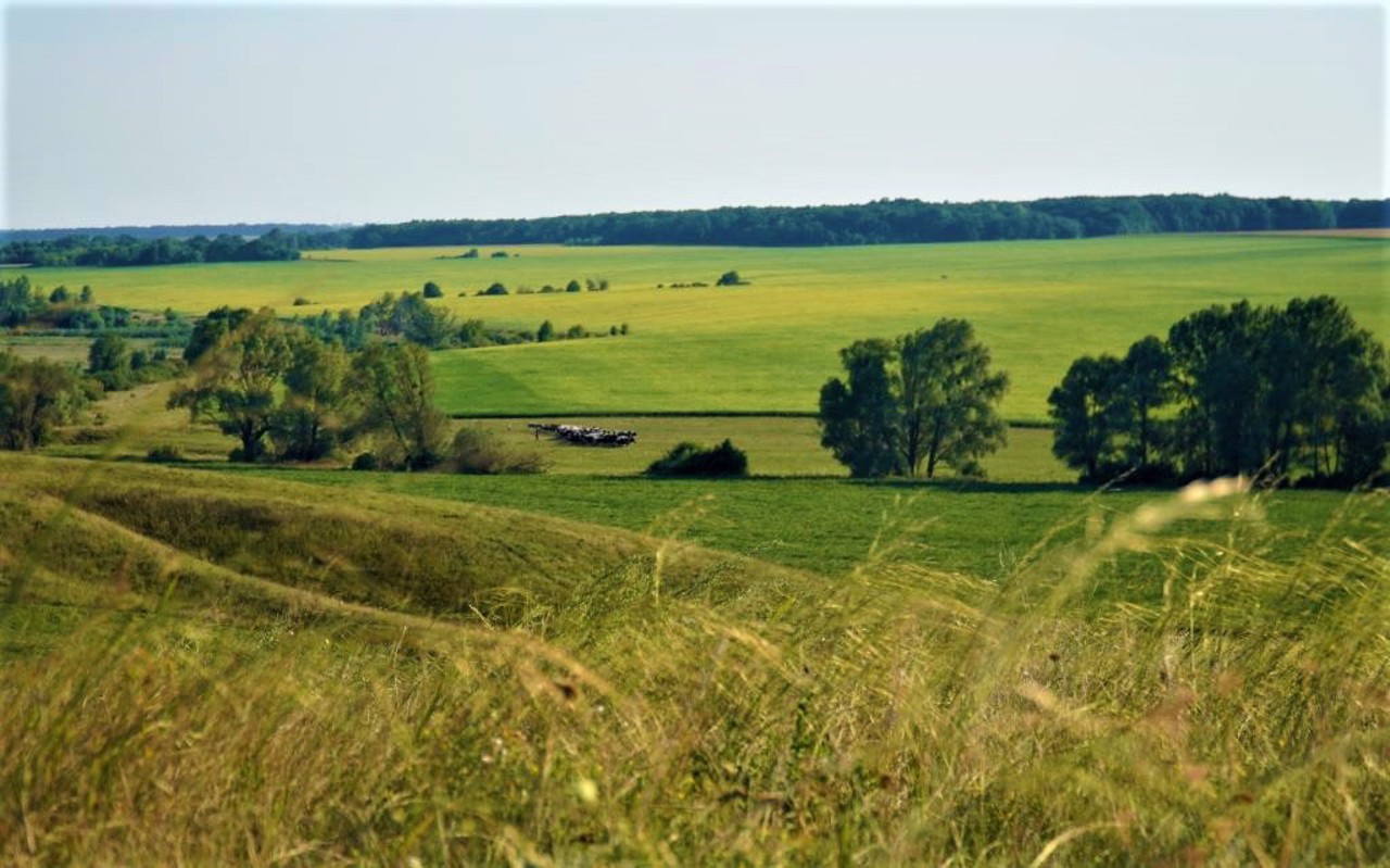 Більське городище, Більськ