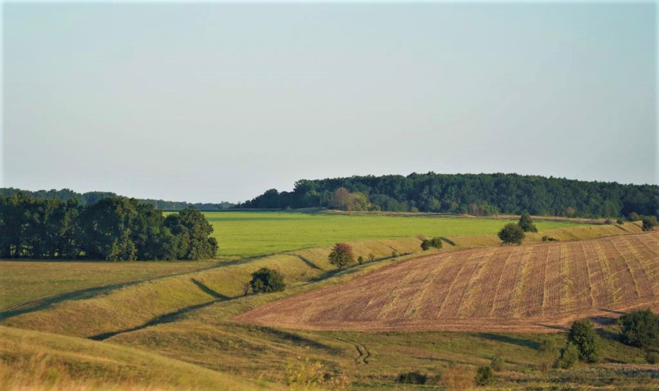 Bilsk Scythian Settlement