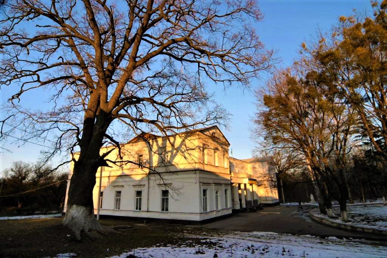 Дворец Александра Абазы, Шпола