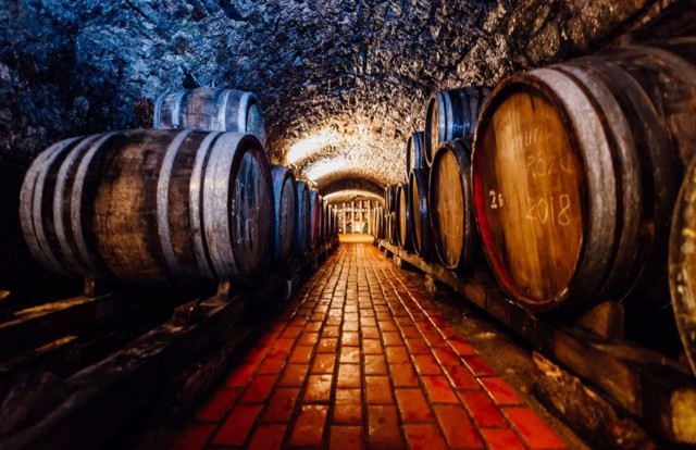 Tasting Hall "Old Wine Cellar", Berehove