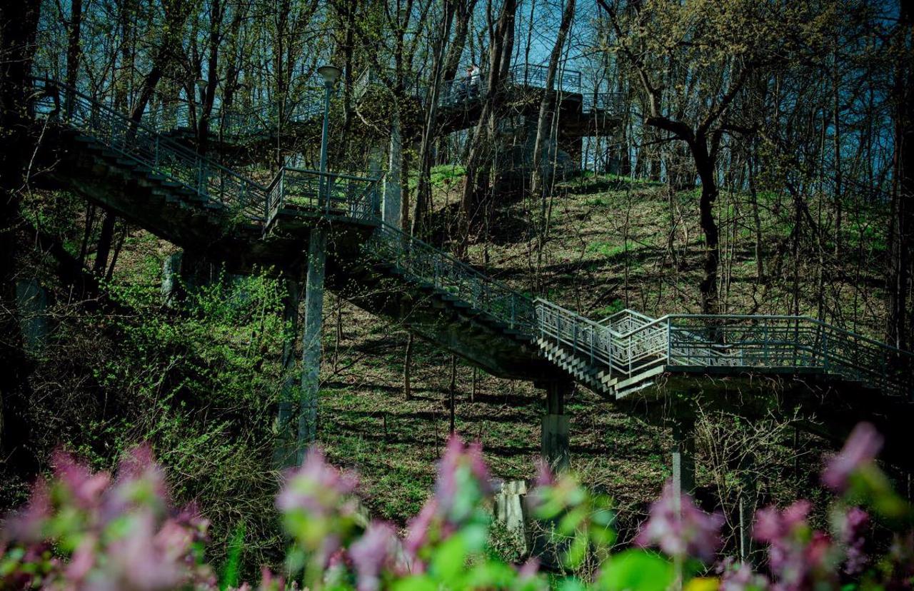 Chernecha (Taras) Hill, Kaniv