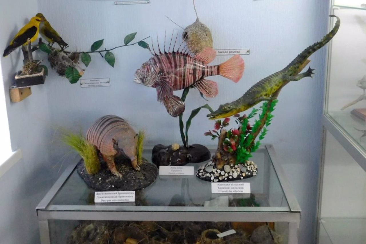 ZNU Zoological Museum, Zaporizhzhia