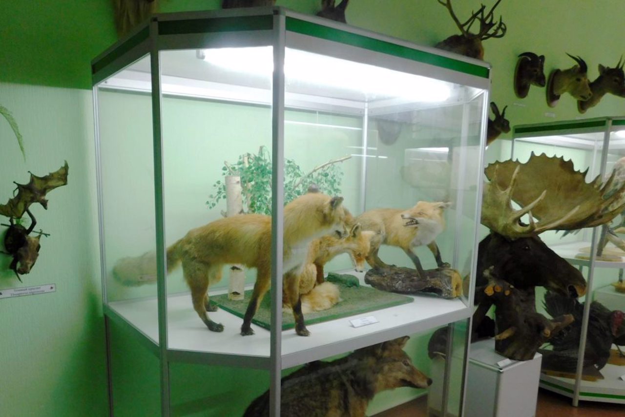 ZNU Zoological Museum, Zaporizhzhia