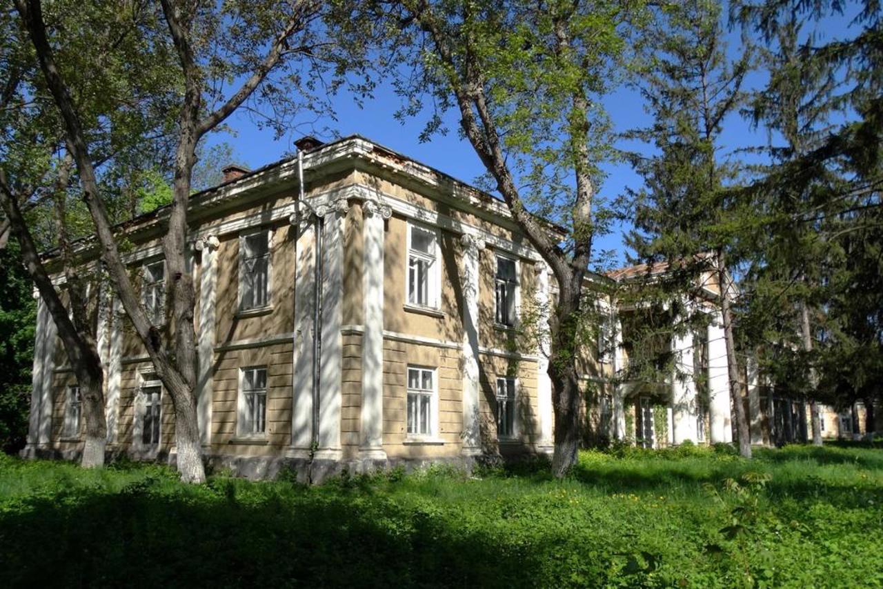 Brunytsky Palace, Zalishchyky