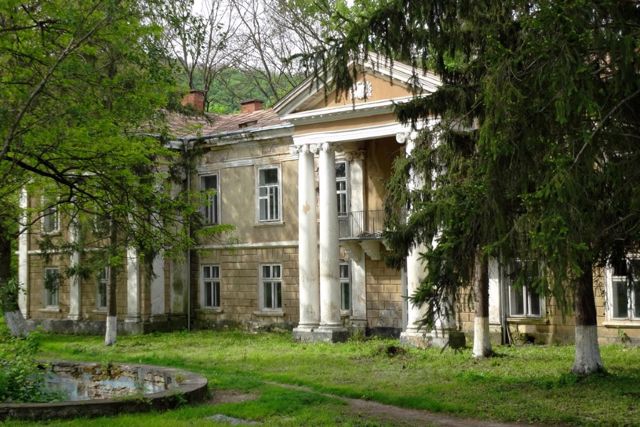 Brunytsky Palace, Zalishchyky