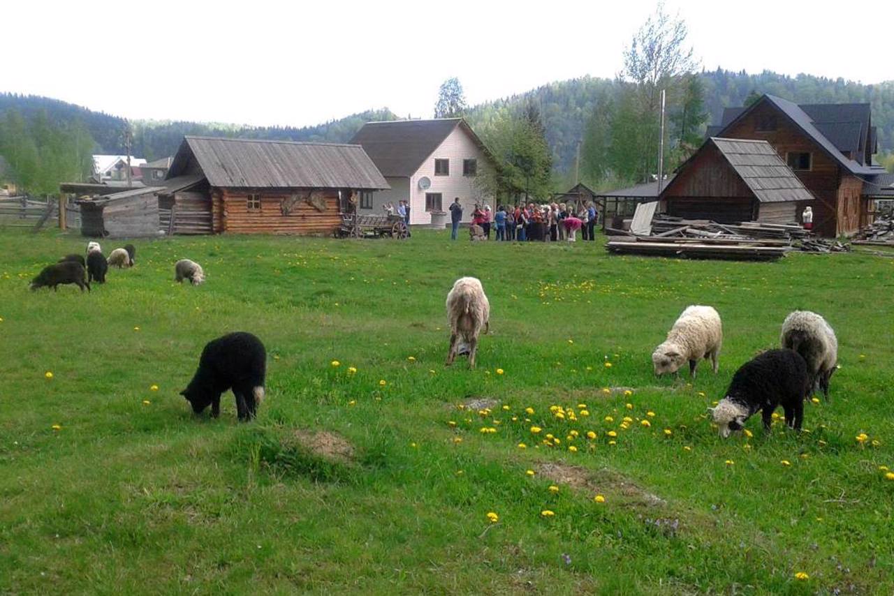 Sheep Breeding Museum, Kosmach