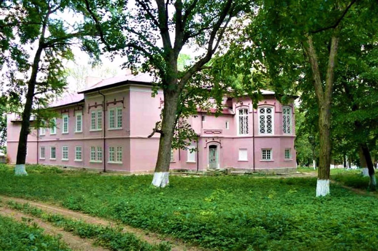 Palace de Zotte, Vikno