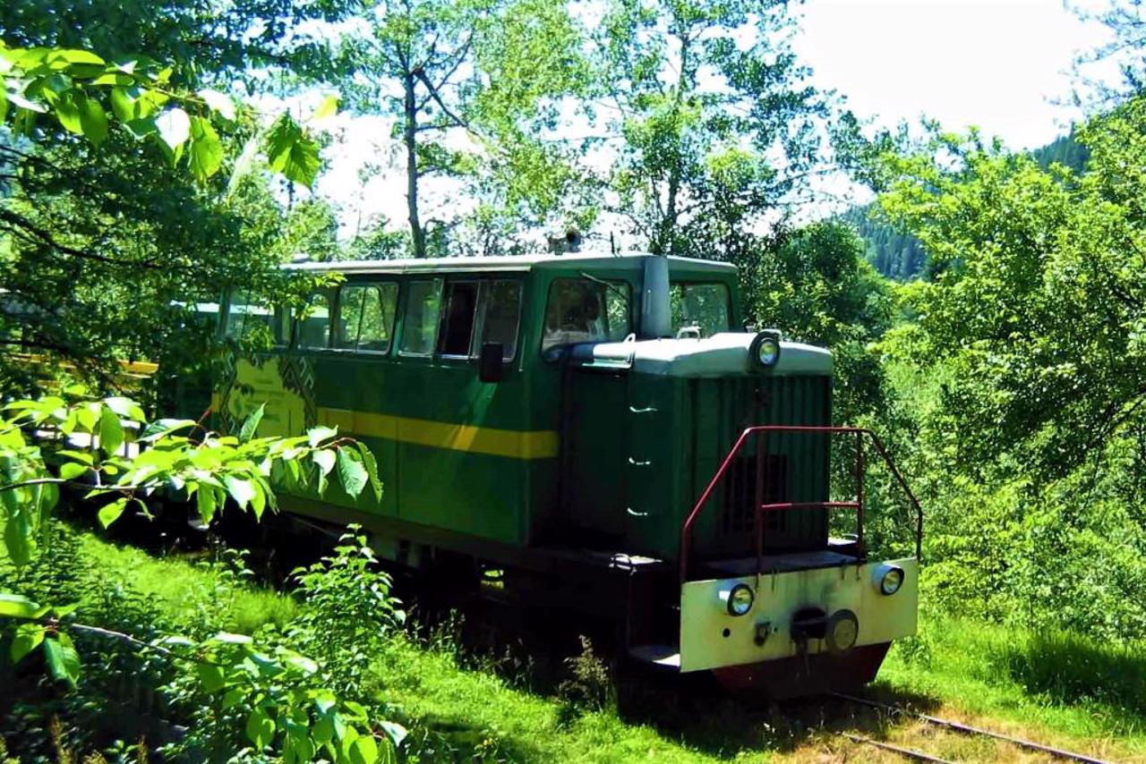 Carpathian Tram, Vyhoda