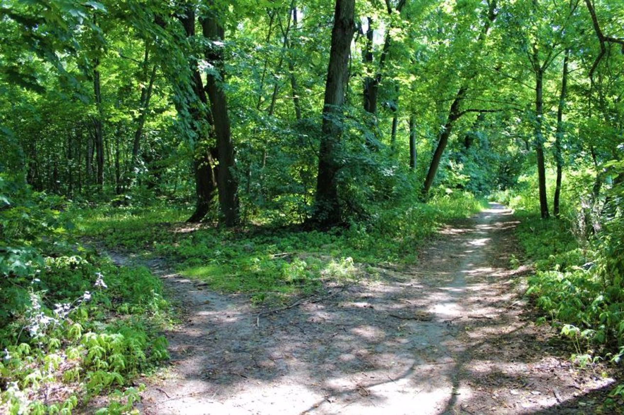 Сулимівський парк, Сулимівка