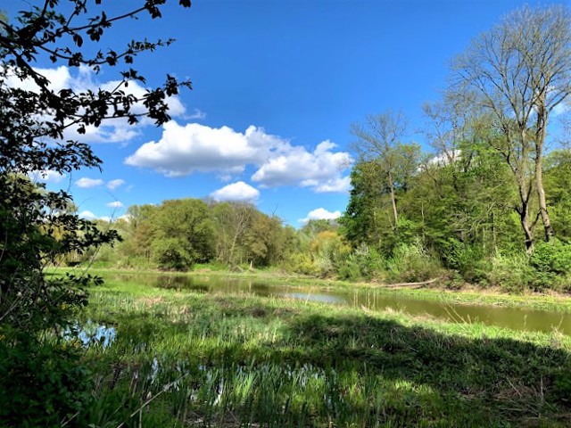 Zhurivsky Arboretum, Zhurivka