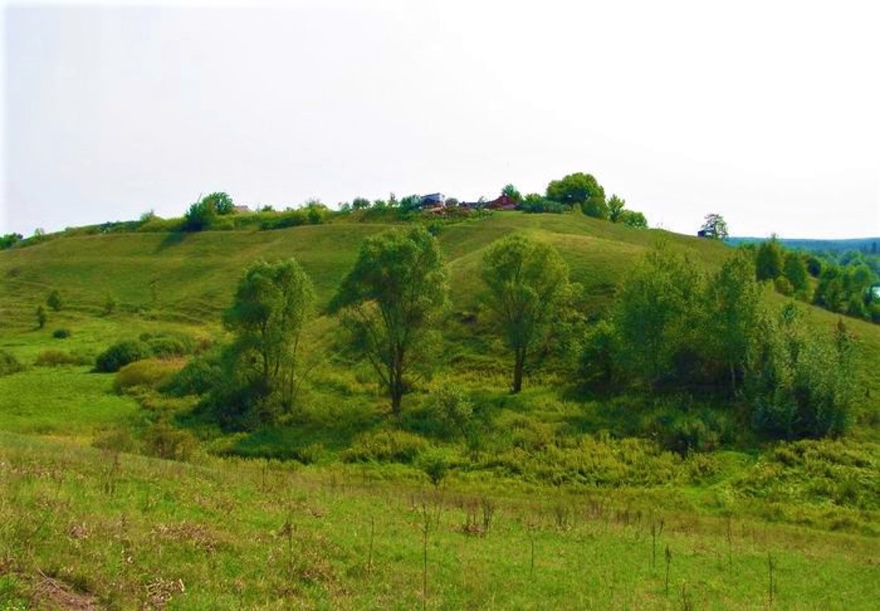 Homilsha Forests, Koropove