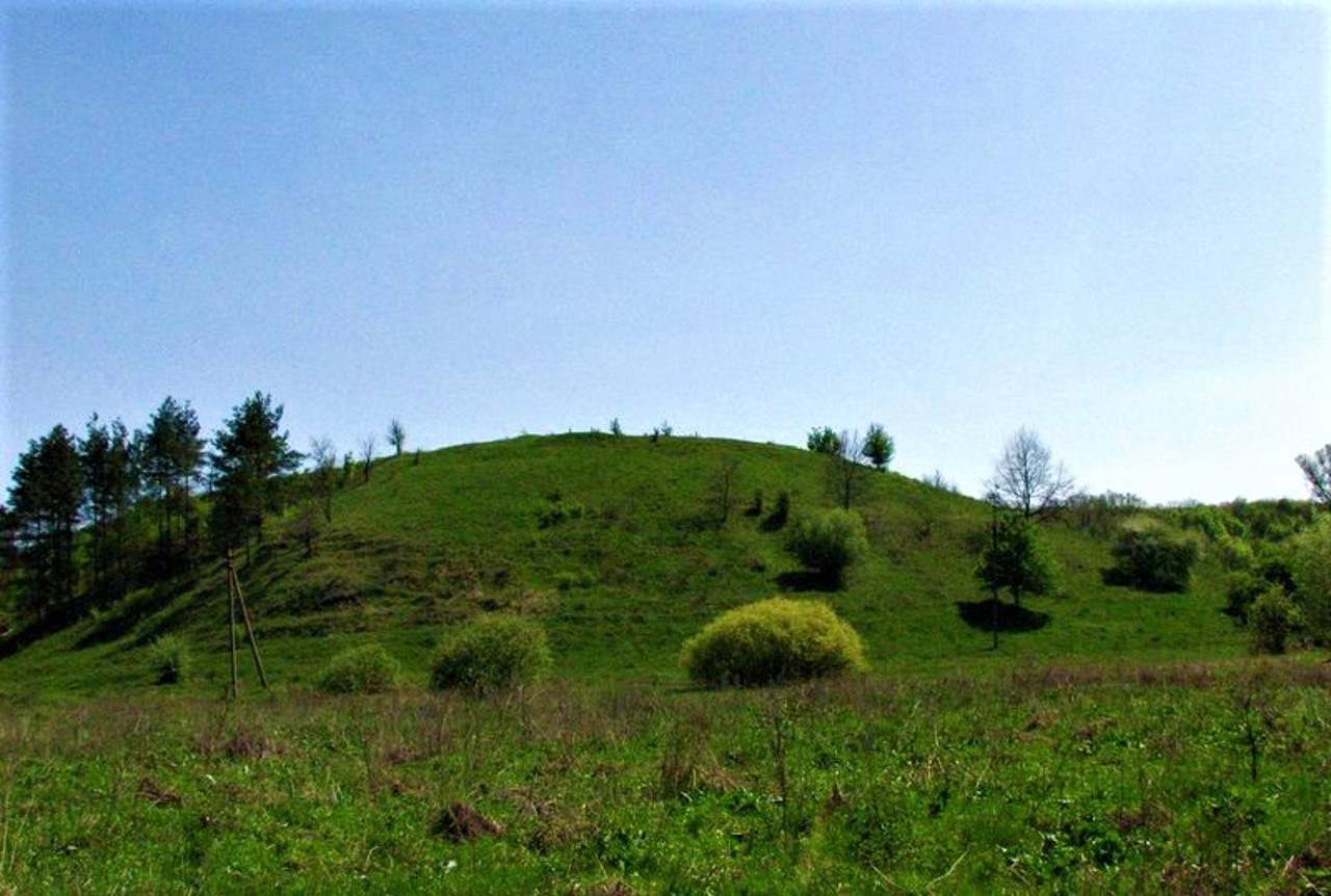 Homilsha Forests, Koropove