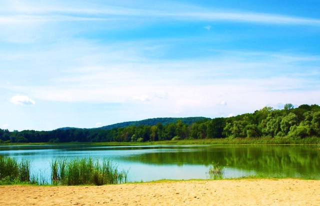 Homilsha Forests, Koropove