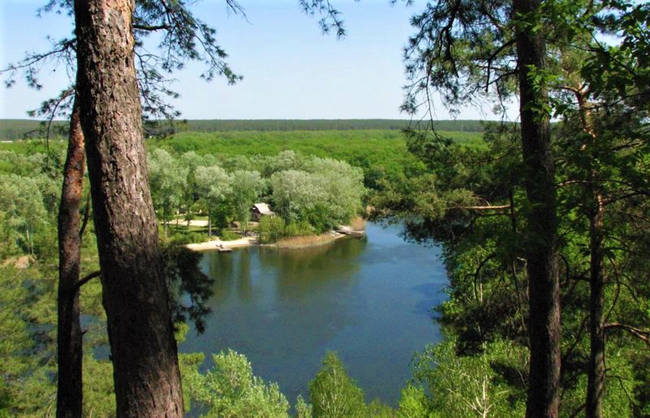 Гомільшанські ліси, Коропове