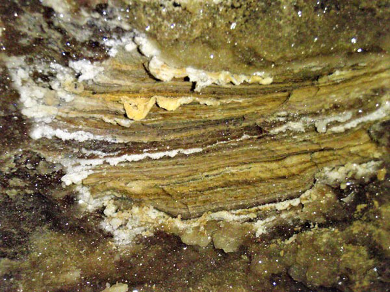 Печера Млинки, Залісся