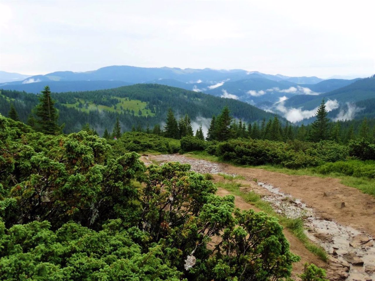 Mount Hoverla