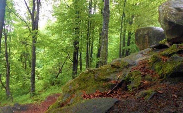 Dovbush Cave, Pidzakharychi