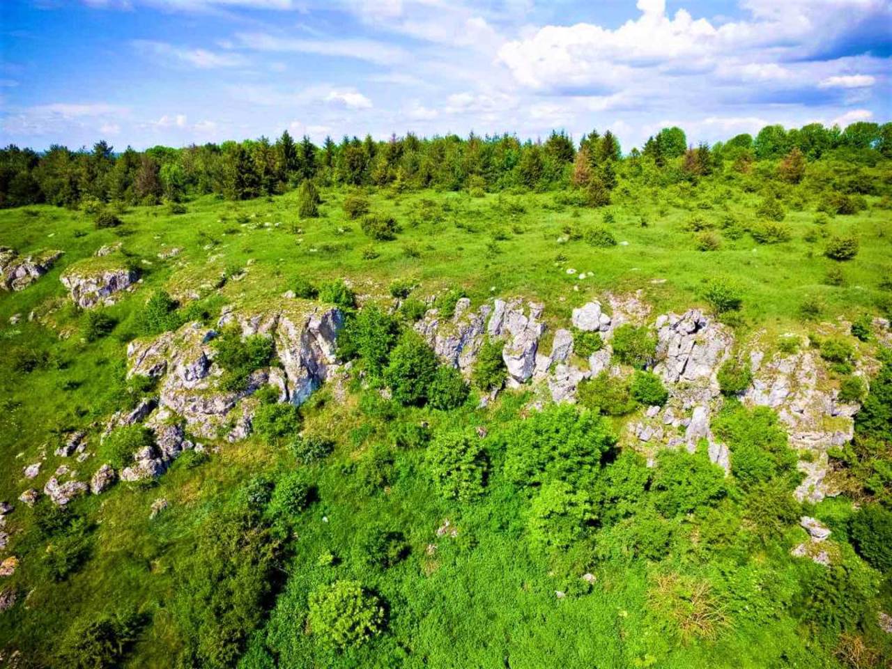 Заповідник "Медобори", Гримайлів