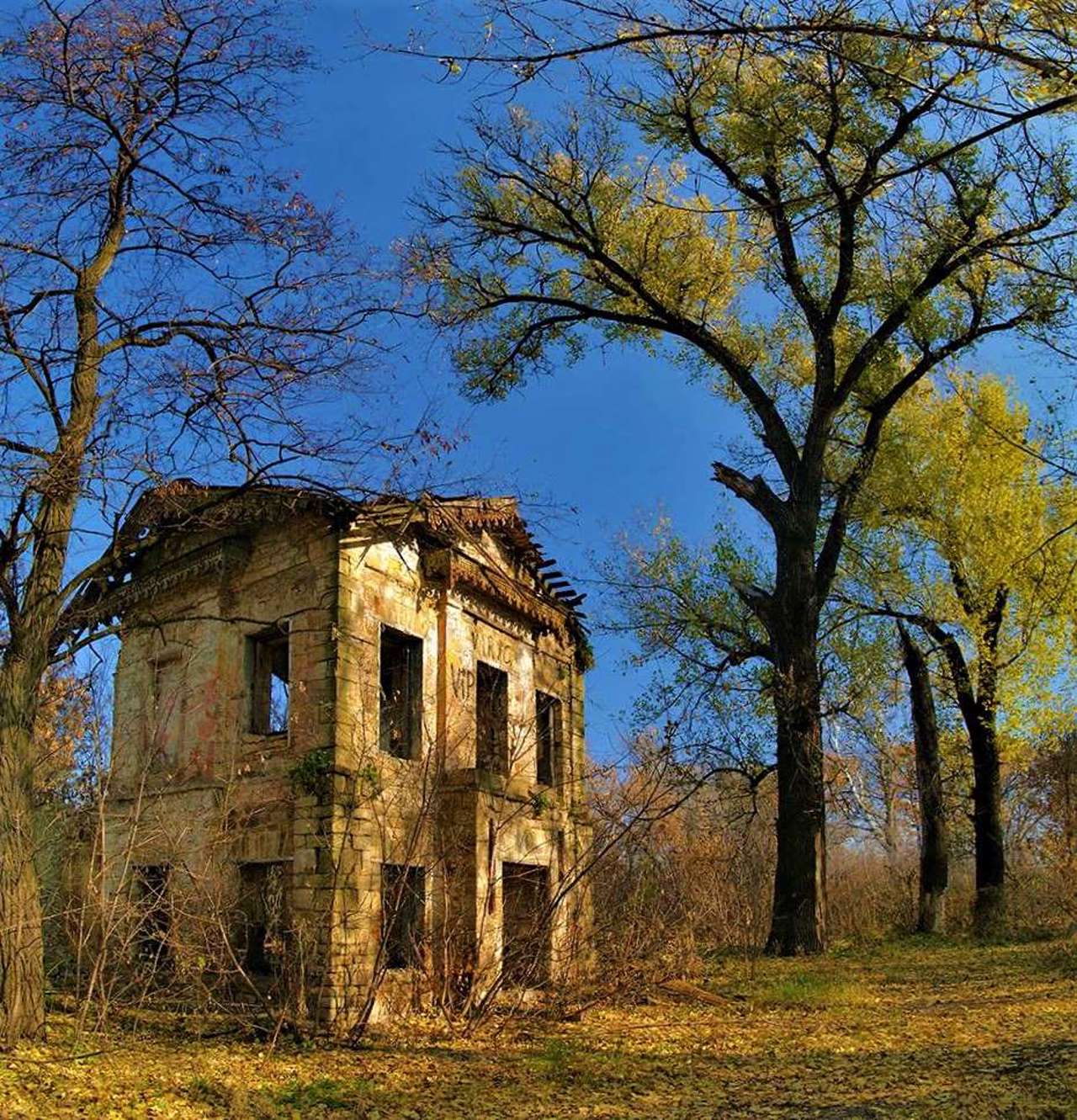 Mstsykhovsky Manor, Seleznivka