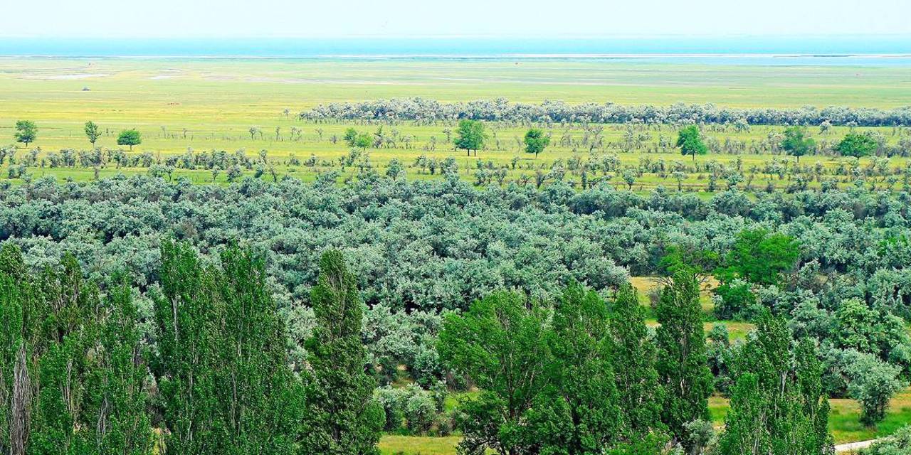 Остров Бирючий, Геническ