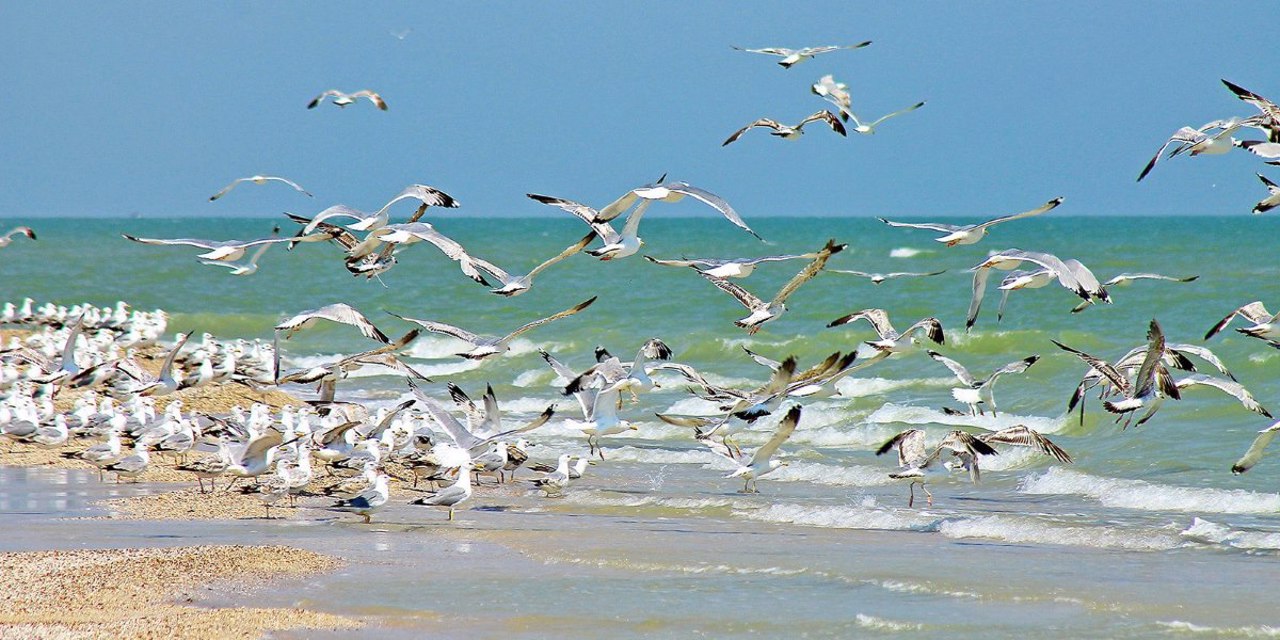 Byriuchyi Island, Henichesk