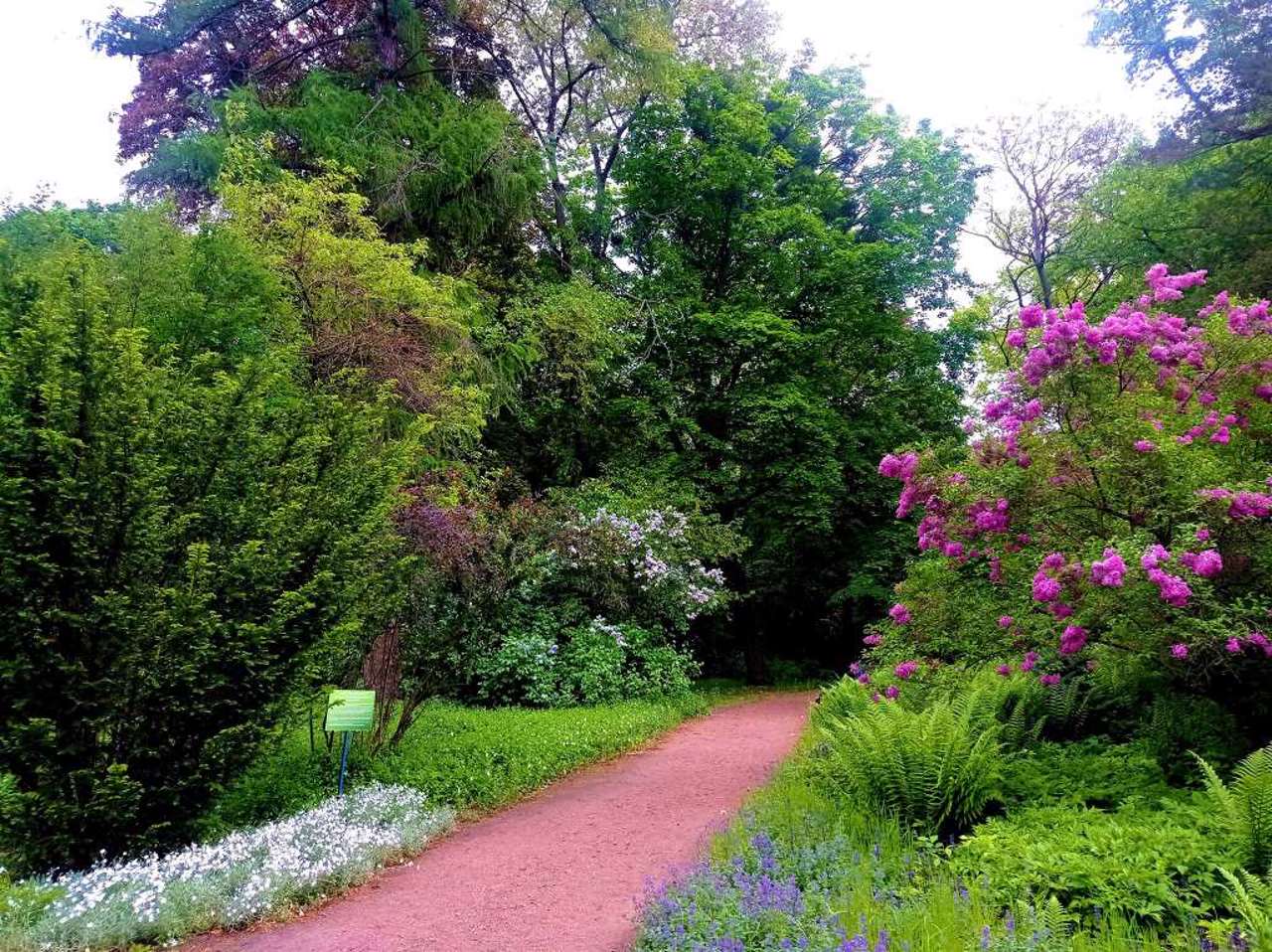 Syretsky Arboretum, Kyiv