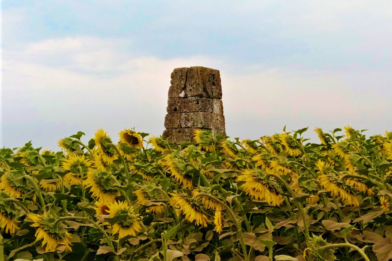 Екатерининская миля, Волосское