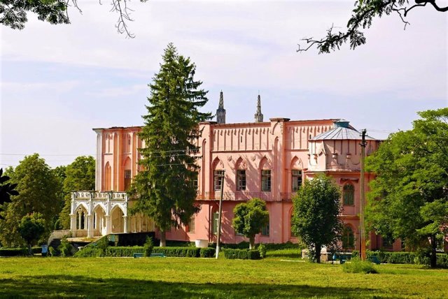 Дворец Витославских, Чернятин