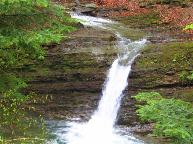 Krutylo Waterfall, Lumshory