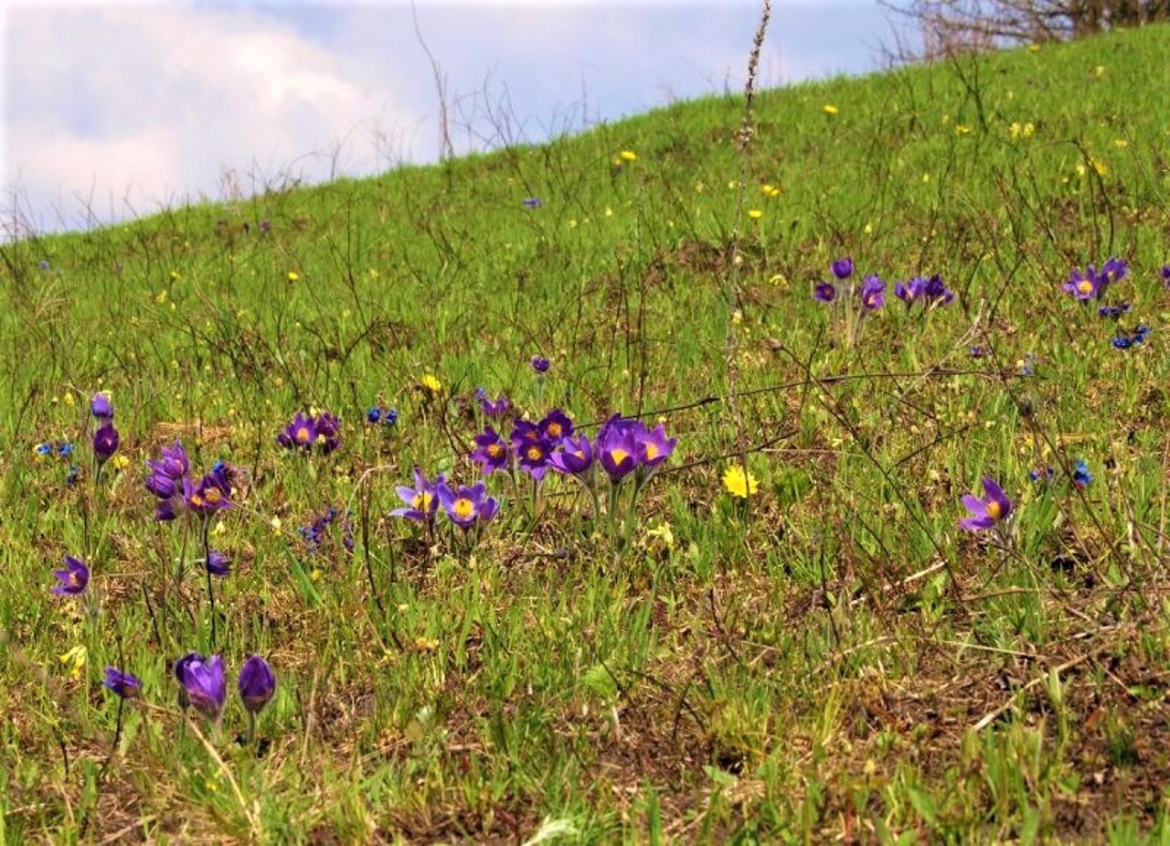 Halych National Natural Park