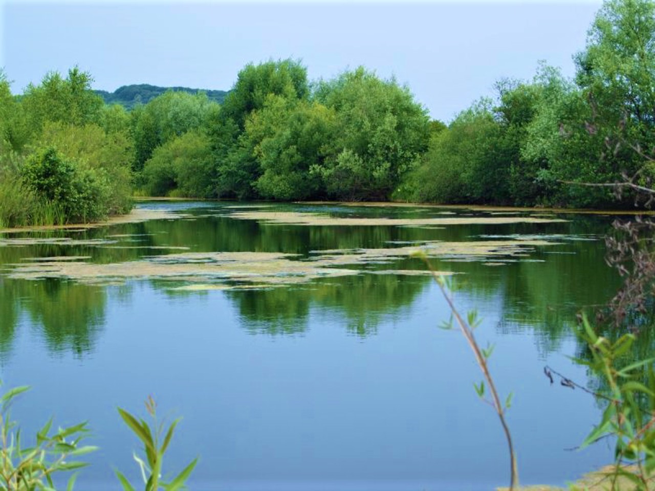 Halych National Natural Park