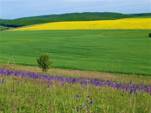 Halych National Natural Park